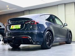 Tesla Model Y Rear-Wheel Drive - ფოტო 4