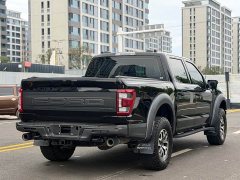 Ford F-150 Raptor 3.5T Raptor - ფოტო 16