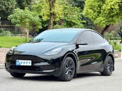 Tesla Model Y Rear-Wheel Drive - ფოტო 1