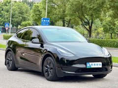 Tesla Model Y Rear-Wheel Drive - ფოტო 3