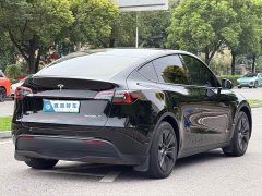 Tesla Model Y Rear-Wheel Drive - ფოტო 4