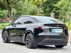Tesla Model Y Rear-Wheel Drive - ფოტო 6