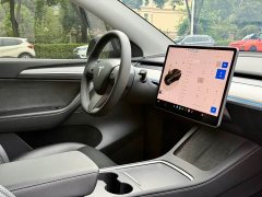 Tesla Model Y Rear-Wheel Drive - ფოტო 9