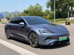 BYD Dolphin 2023 Champion Edition 550km Elite - ფოტო 15