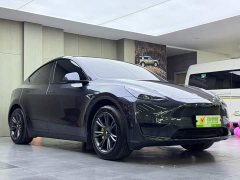 Tesla Model Y Rear-Wheel Drive - ფოტო 3