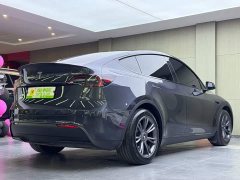 Tesla Model Y Rear-Wheel Drive - ფოტო 4