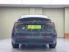 Tesla Model Y Rear-Wheel Drive - ფოტო 5