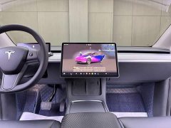 Tesla Model Y Rear-Wheel Drive - ფოტო 9