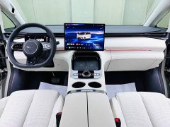 Geely V900 Edition - ფოტო 5