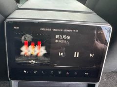 Tesla Model 3 2023 Rear-Wheel Drive - ფოტო 13