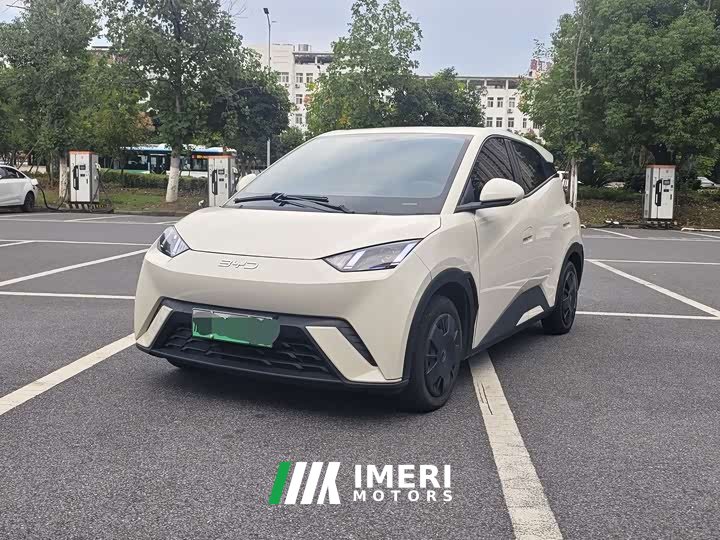 BYD Seagull Glory Edition 305km Vitality Version - ავტომობილი ჩინეთიდან