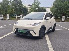 BYD Seagull Glory Edition 305km Vitality Version - ფოტო 1