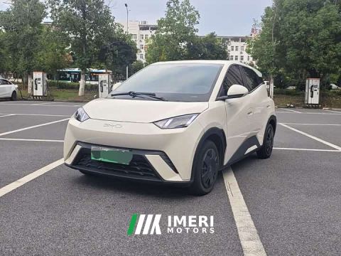 2024 BYD Seagull Glory Edition 305km Vitality Version - ავტომობილი ჩინეთიდან
