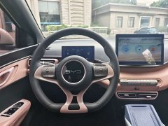 BYD Seagull Glory Edition 305km Vitality Version - ფოტო 7