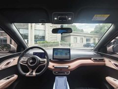 BYD Seagull Glory Edition 305km Vitality Version - ფოტო 8