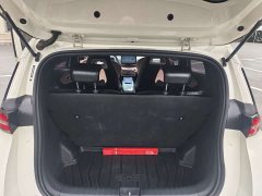 BYD Seagull Glory Edition 305km Vitality Version - ფოტო 12