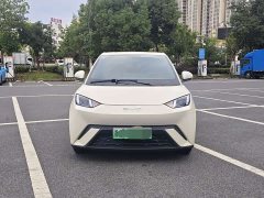 BYD Seagull Glory Edition 305km Vitality Version - ფოტო 2