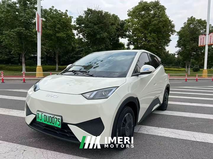 BYD Seagull Smart Drive 305km Vitality Edition - ავტომობილი ჩინეთიდან