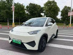 BYD Seagull Smart Drive 305km Vitality Edition - ფოტო 1