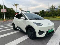 BYD Seagull Smart Drive 305km Vitality Edition - ფოტო 3