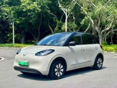 Wuling Binguo 333km Lingxi Connected Edition - ფოტო 1