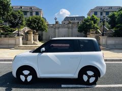 Changan Lumin 2022 210km Sweet Edition - ფოტო 10