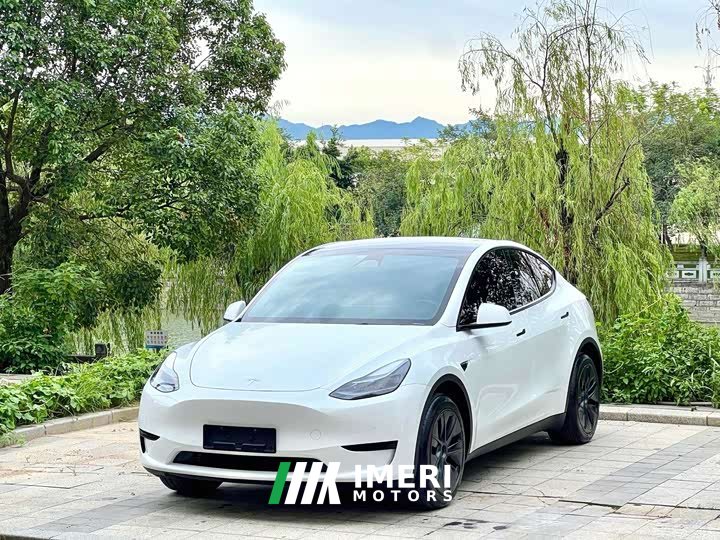Tesla Model Y Rear-Wheel Drive - ავტომობილი ჩინეთიდან