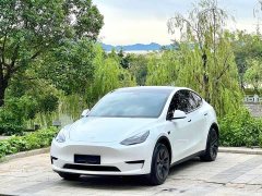 Tesla Model Y Rear-Wheel Drive - ფოტო 1
