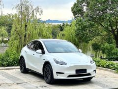 Tesla Model Y Rear-Wheel Drive - ფოტო 3
