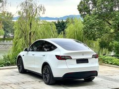 Tesla Model Y Rear-Wheel Drive - ფოტო 7