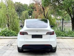Tesla Model Y Rear-Wheel Drive - ფოტო 8
