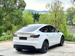 Tesla Model Y Rear-Wheel Drive - ფოტო 9