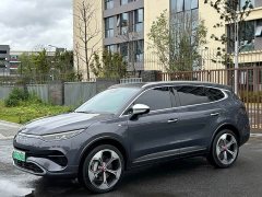Denza X 2020 PHEV Premier Edition - ფოტო 1