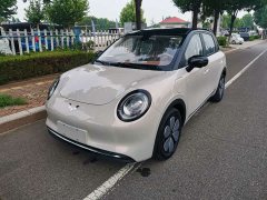 Wuling Bingguo Pro 330km Deluxe Edition - ფოტო 1