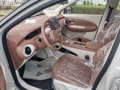 Wuling Bingguo Pro 330km Deluxe Edition - ფოტო 16