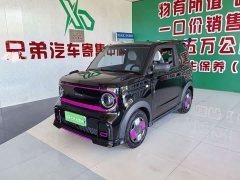 Geely Panda 210km Panda Kart - ფოტო 1