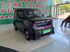 Geely Panda 210km Panda Kart - ფოტო 2
