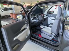 Geely Panda 210km Panda Kart - ფოტო 4