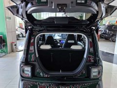 Geely Panda 210km Panda Kart - ფოტო 7