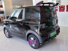 Geely Panda 210km Panda Kart - ფოტო 9