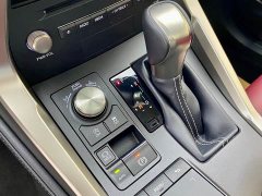 Lexus NX 2020 200 AWD Sharp Luxury Edition National VI - ფოტო 14