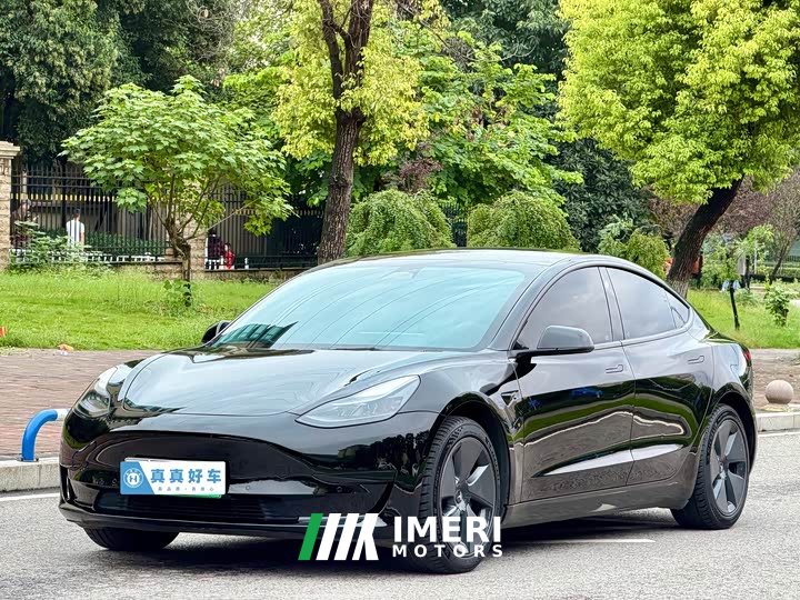 Tesla Model 3 Rear-Wheel Drive