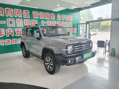 Tank 300 City Edition 2.0T Stylish - ფოტო 2