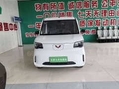 Wuling Zhiguang New Energy 201km Standard - фото 2