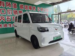 Wuling Zhiguang New Energy 201km Standard - фото 3