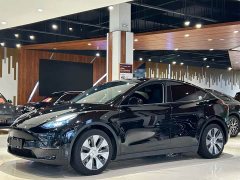 Tesla Model Y Standard Range RWD - ფოტო 1