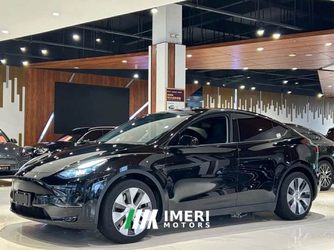 2021 Tesla Model Y Standard Range RWD - ავტომობილი ჩინეთიდან