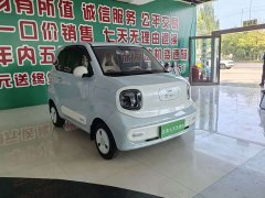 FAW Besturn Xiaoma 222km Lightning Edition - ფოტო 2