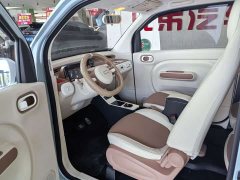 FAW Besturn Xiaoma 222km Lightning Edition - ფოტო 4