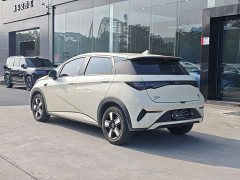 BYD Dolphin 2025 Smart Drive 410km Fashion Edition - ფოტო 9